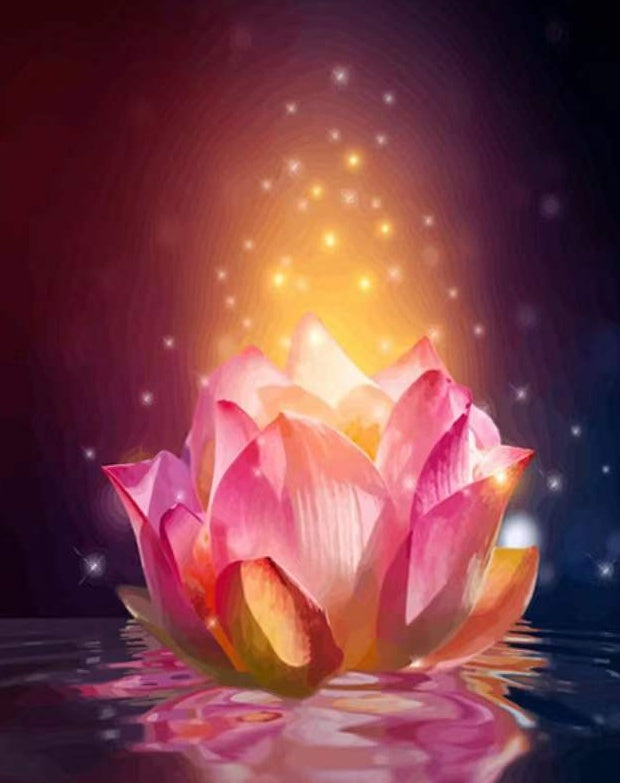 Loto Rosado Mágico con Luz Brillante en la Noche Pintar por Números