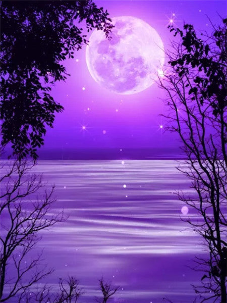 Luna Morada y Siluetas de Árboles Pintar por Números