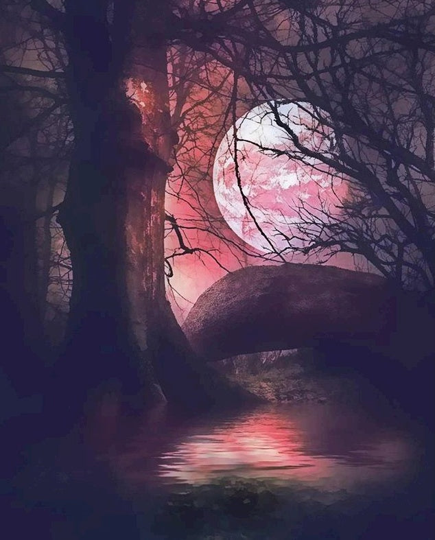 Luna Rosada y un Árbol en la Oscuridad Pintar por Números