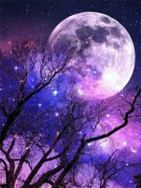 Luna y Árboles en el Cielo Estrellado Pintar por Números