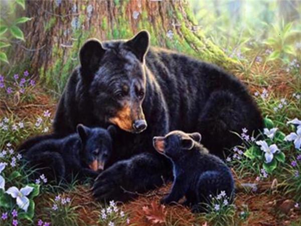 Madre Oso y Bebés Osos al Lado de Árbol Pintar por Números