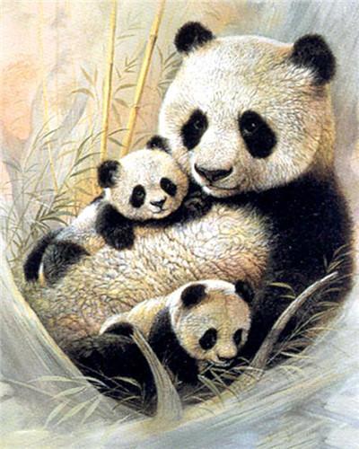 Madre Panda y Dos Pandas Bebés Pintar por Números