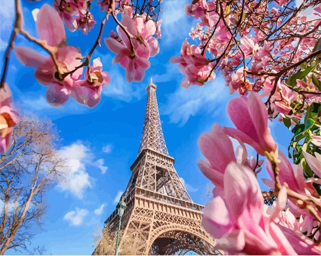 Magnolia Rosada y Torre Eiffel Pintar por Números