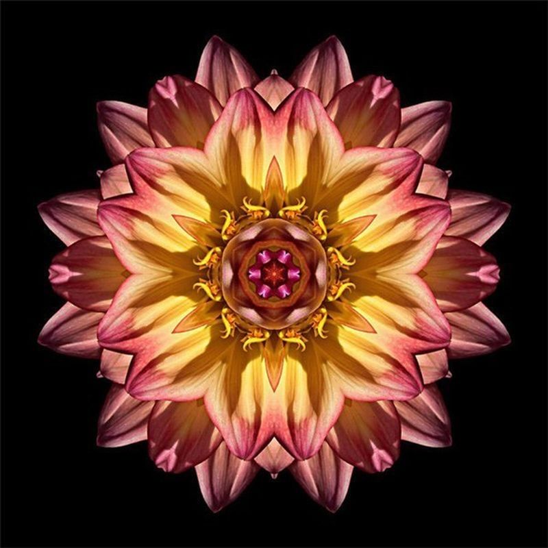 Mandala Rosada en Forma de Flor Pintar por Números