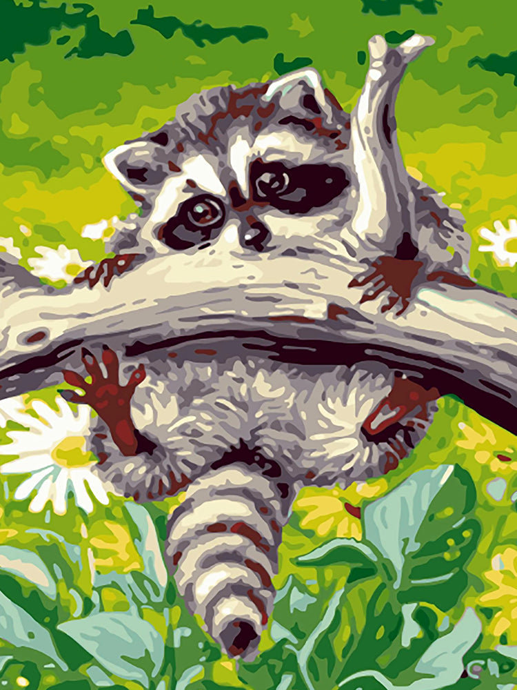 Mapache Colgando de Rama de Árbol Pintar por Números