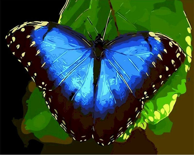 Mariposa Azul y Hoja Verde Pintar por Números