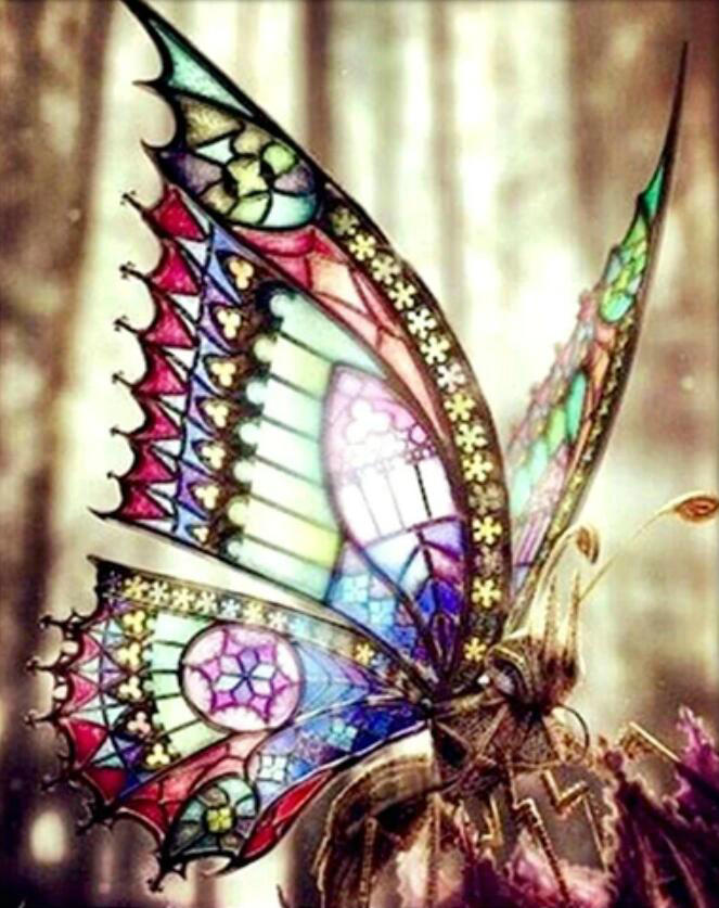 Mariposa con Alas Coloridas Pintar por Números