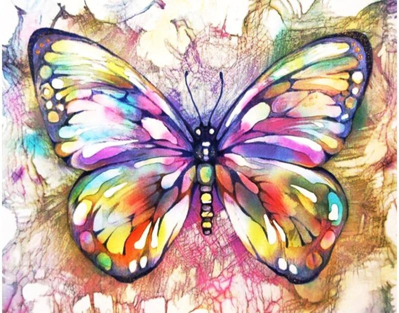 Mariposa de Colores Brillantes Pintar por Números