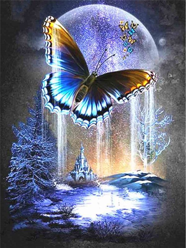 Mariposa de Dos Colores Pintar por Números