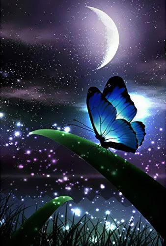 Mariposa en Césped en Noche Pintar por Números