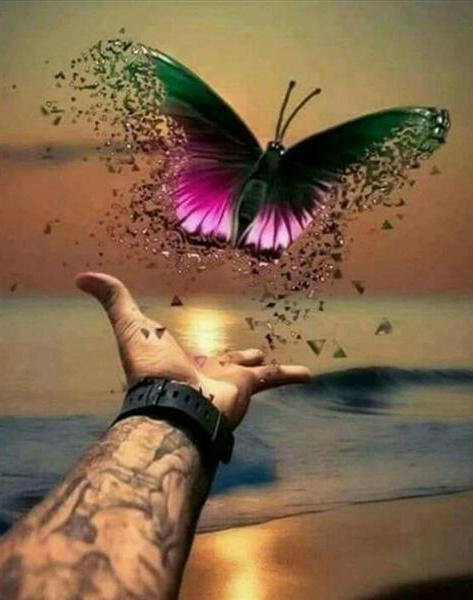 Mariposa en el Viento Pintar por Números