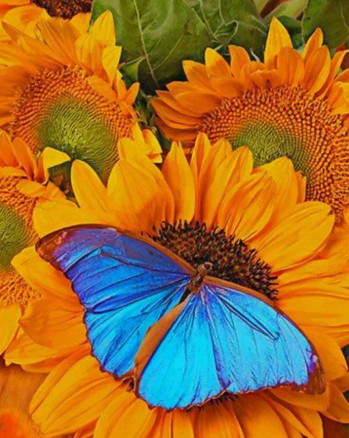 Mariposa Morpho Azul Parada sobre Girasoles Pintar por Números
