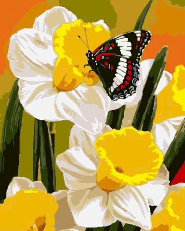 Mariposa sobre Flores de Narciso Amarillo y Blanco Pintar por Números