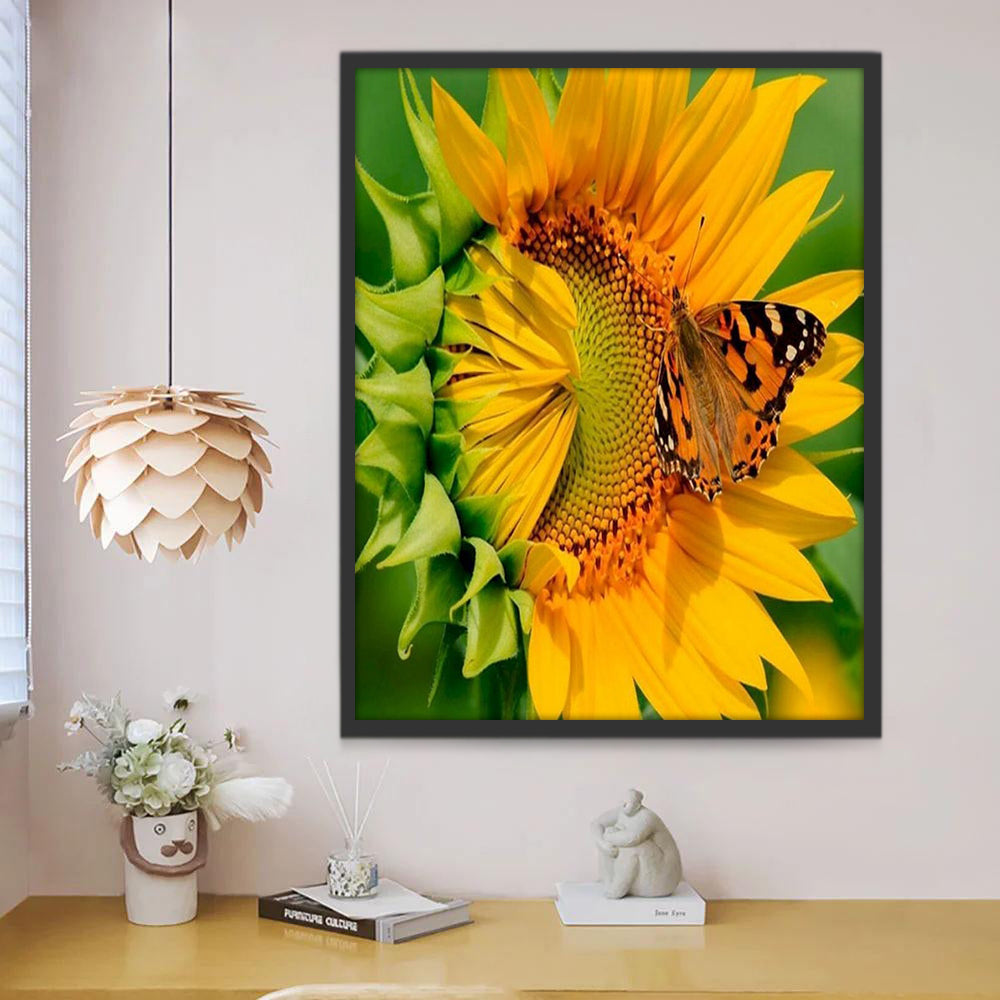 Mariposa sobre un Girasol de Cerca Pintar por Números
