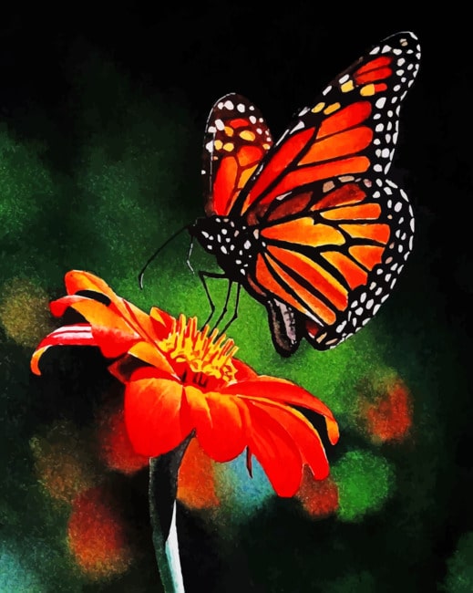 Mariposa Volando sobre Flor Roja Pintar por Números