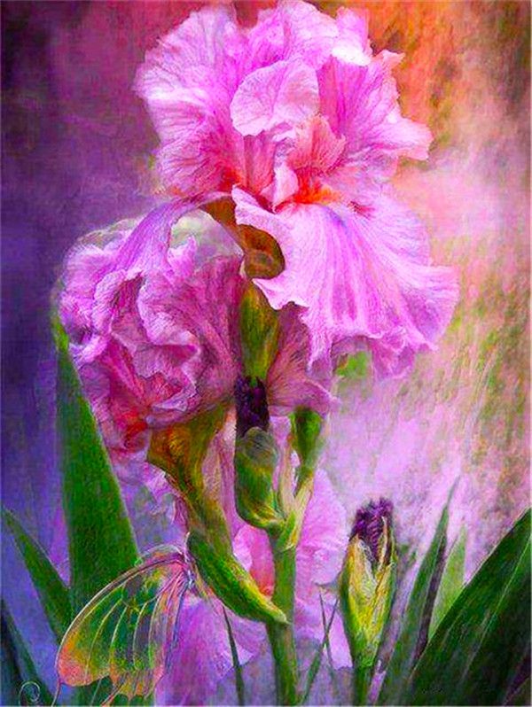 Mariposa y Flores Bonitas Moradas Pintar por Números
