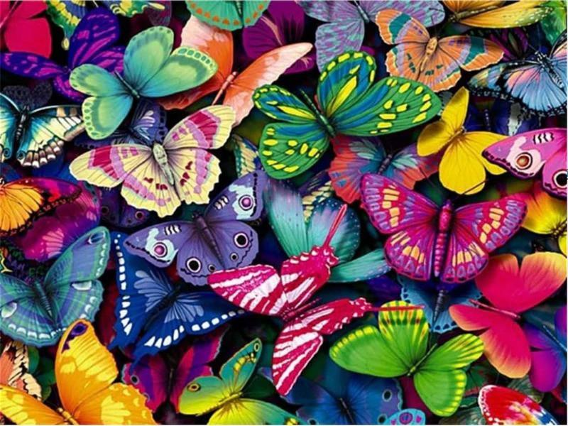 Mariposas de Colores Brillantes Pintar por Números