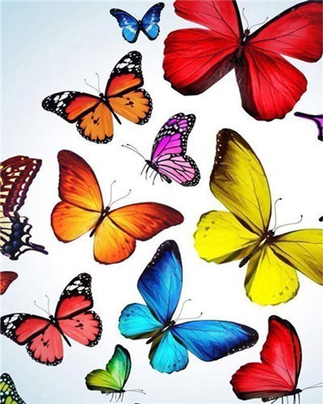 Mariposas en Fondo Blanco Pintar por Números