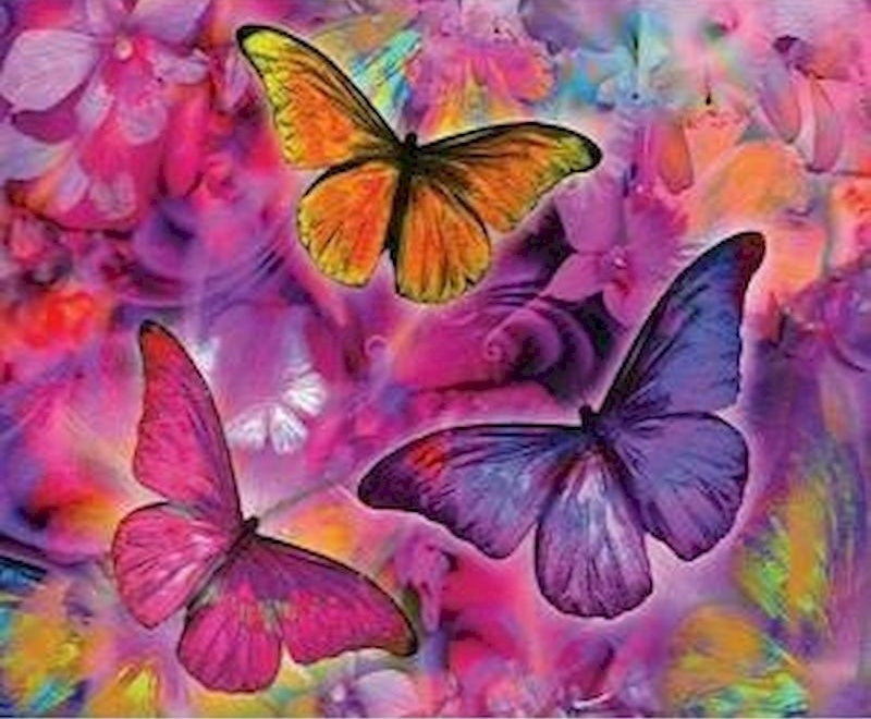 Mariposas en Fondo Rosado Pintar por Números