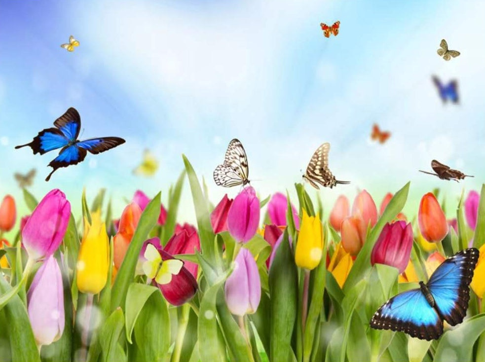 Mariposas Volando entre Tulipán Colorido Pintar por Números