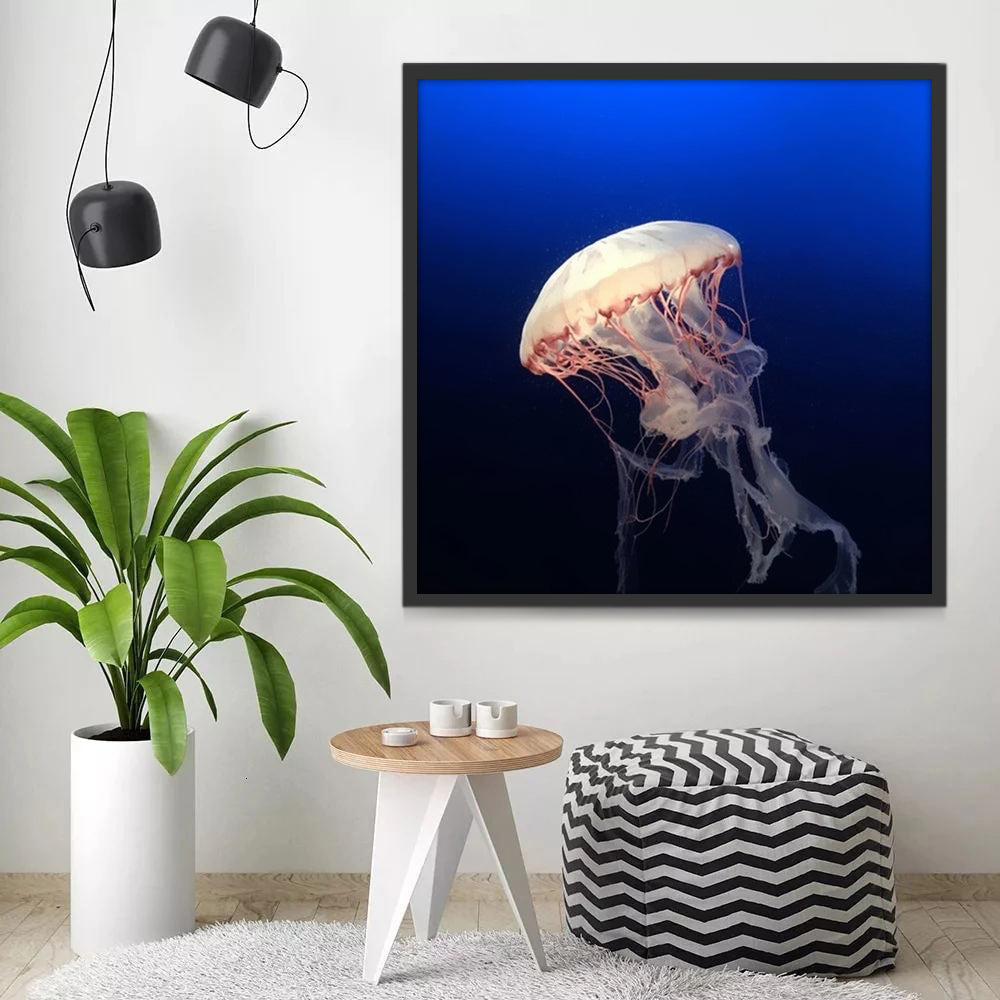 Medusas Blancas Pintar por Números