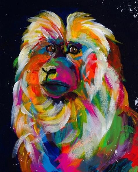 Mono de Colores Diferentes Brillantes Pintar por Números