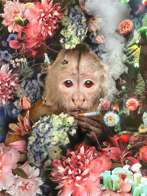 Mono Fumando Detrás de las Flores Pintar por Números