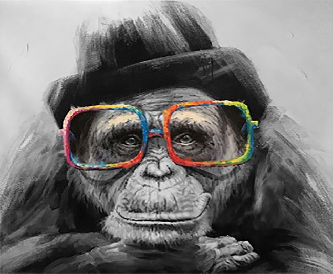 Mono Lindo con Gafas Coloridas y Gorro Negro Pintar por Números
