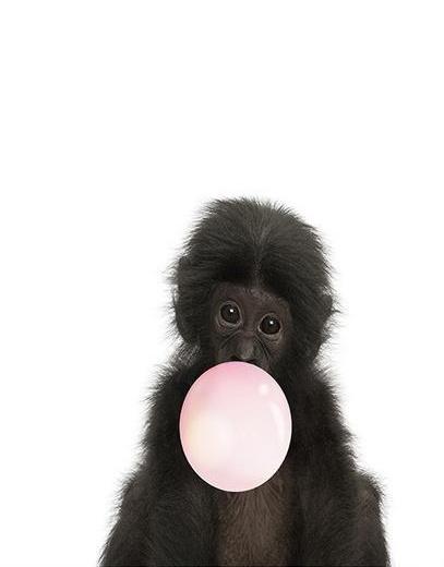 Mono Pequeño Lindo con Burbuja Rosada de Chicle Pintar por Números