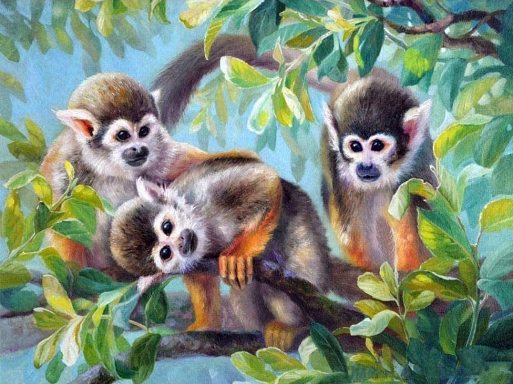 Monos Bebés Adorables sobre Árbol Pintar por Números
