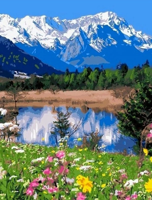 Montañas Nevadas y Campo de Flores Pintar por Números