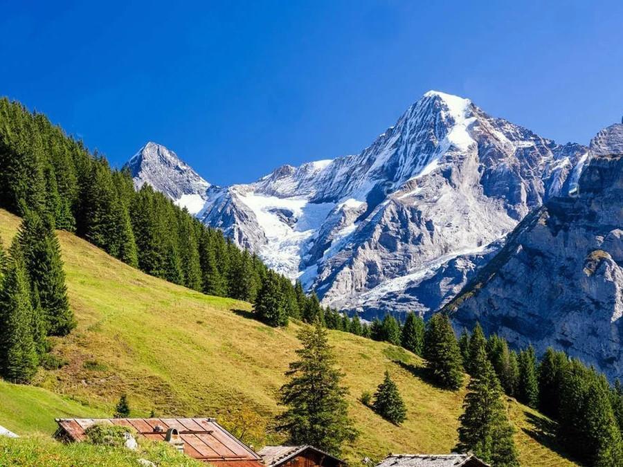 Montañas Nevadas y Ladera Verde Pintar por Números
