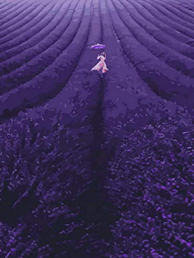 Mujer en el Campo Enorme de Lavanda Pintar por Números
