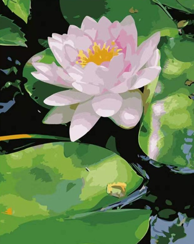 Nenúfar Blanco al Sol con Fondo de Hojas Verdes en Agua Pintar por Números