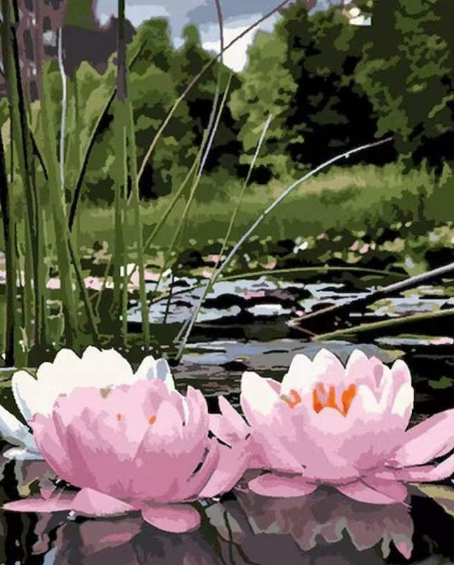 Nenúfares Rosados y Blancos en Agua con Fondo de Árboles Pintar por Números