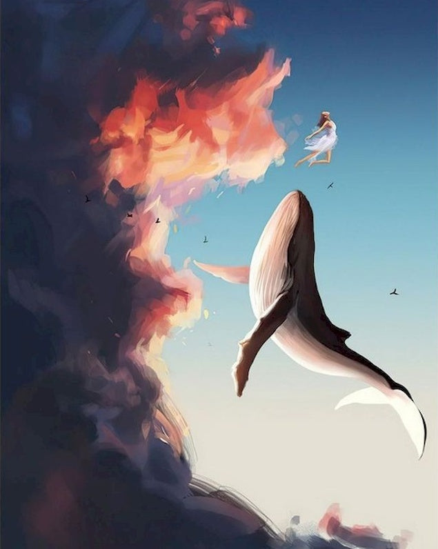 Niña y Ballena Volando en Nubes Pintar por Números