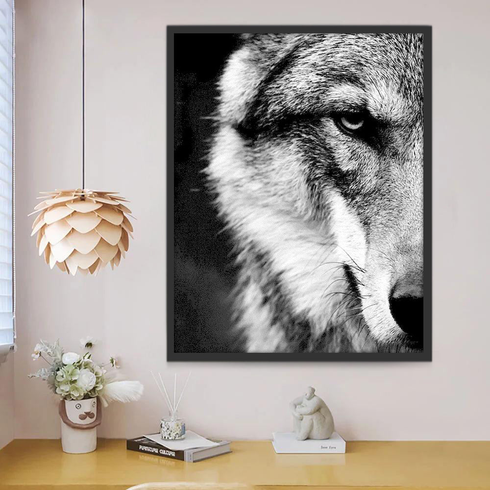 Ojo de Lobo en Blanco y Negro Pintar por Números