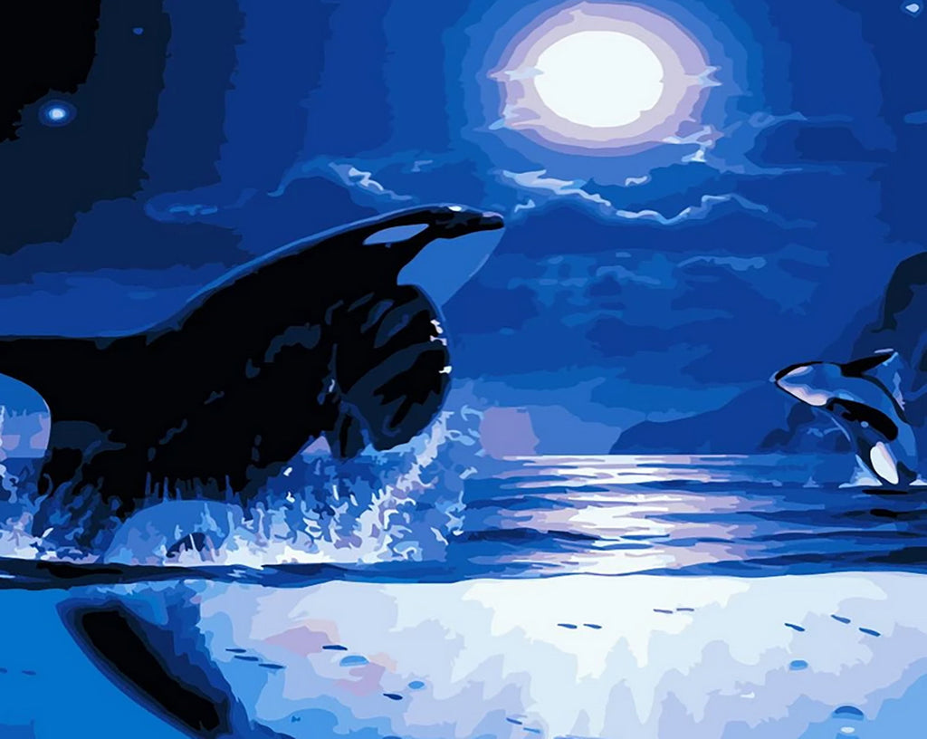 Orcas a la Luz de la Luna Pintar por Números
