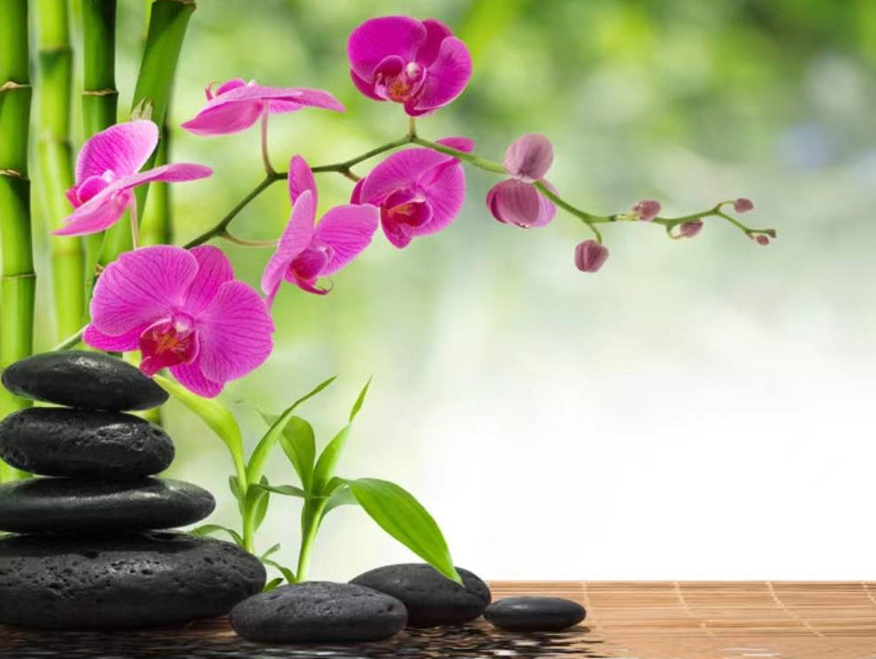 Orquídea Morada y Guijarros Negros y Bambú Pintar por Números