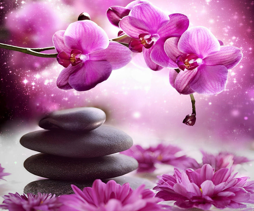 Orquídeas Moradas y Guijarros Redondos Negros Pintar por Números