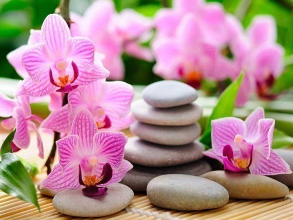 Orquídeas Moradas y Guijarros Redondos Pintar por Números
