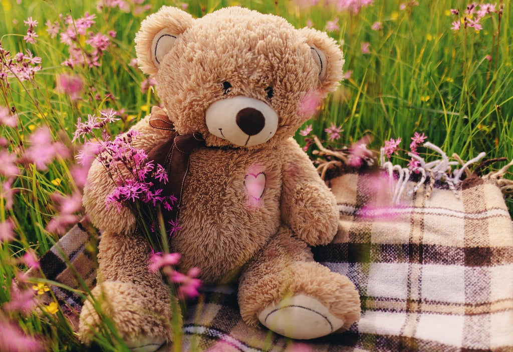 Oso de Peluche sobre Bufanda y las Flores Rosadas Pintar por Números