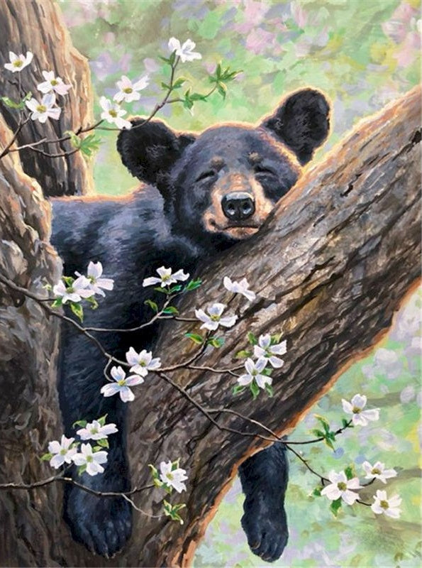 Oso Negro Durmiendo sobre Tronco Pintar por Números