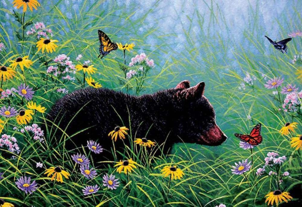 Oso Negro Pequeño Observando Mariposas entre las Flores Pintar por Números