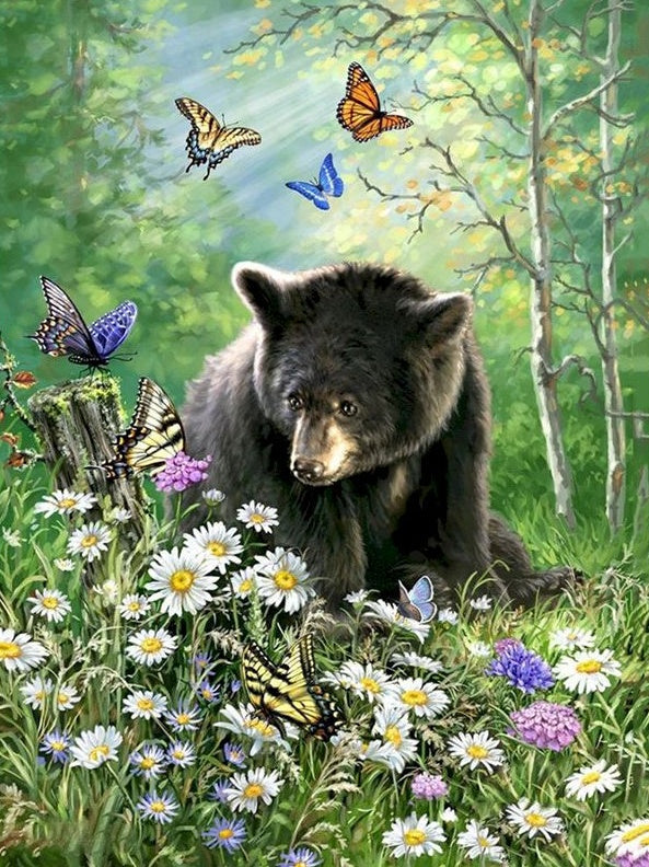 Oso Negro Pequeño Rodeado de Mariposas Pintar por Números