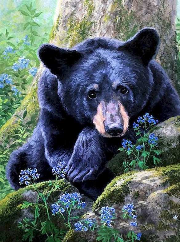 Oso Negro y Flores Azules sobre Roca Pintar por Números