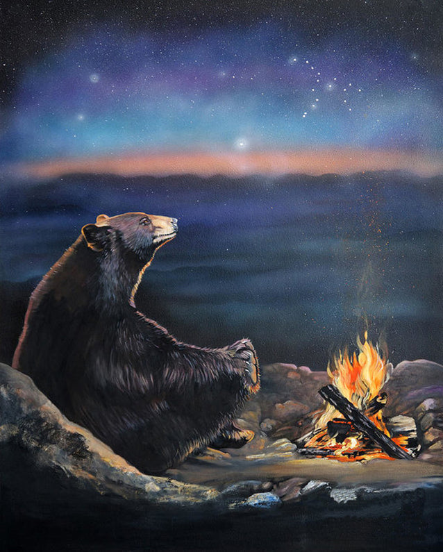 Oso Negro y Hoguera en la Noche Estrellada Pintar por Números