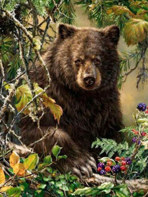 Oso Pardo Detrás de Ramas de Árboles Pintar por Números