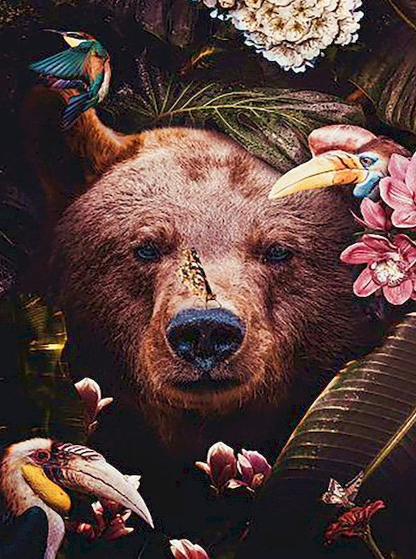 Oso Pardo entre Flores y Hojas y Pájaros Pintar por Números