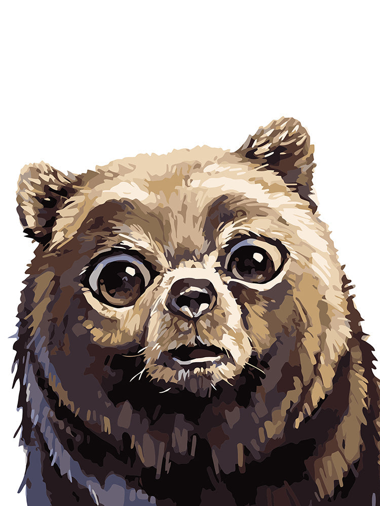 Oso Pardo Pequeño con Ojos Grandes Pintar por Números